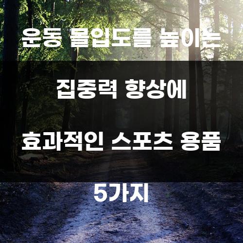 운동 몰입도를 높이는 집중력 향상에 효과적인 스포츠 용품 5가지