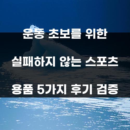 운동 초보를 위한 실패하지 않는 스포츠 용품 5가지 후기 검증