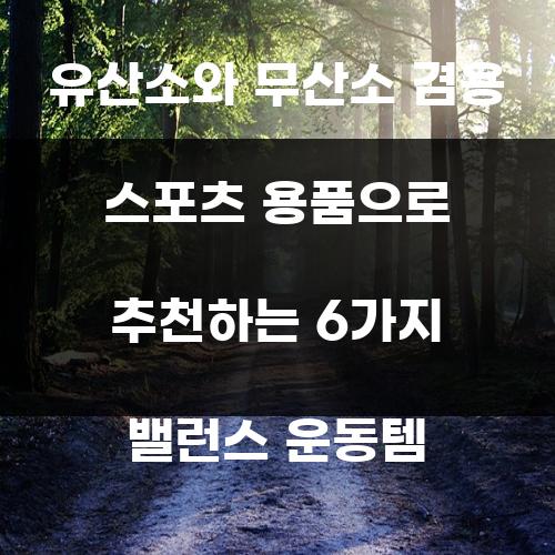 유산소와 무산소 겸용 스포츠 용품으로 추천하는 6가지 밸런스 운동템
