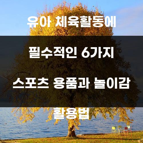 유아 체육활동에 필수적인 6가지 스포츠 용품과 놀이감 활용법