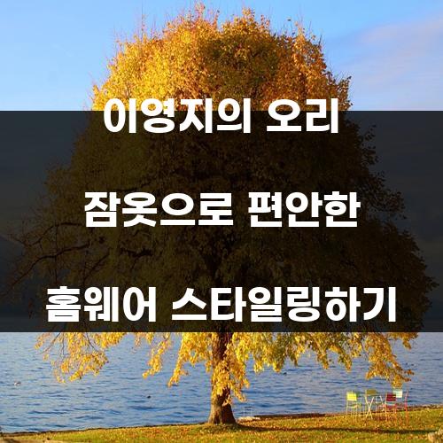 이영지의 오리 잠옷으로 편안한 홈웨어 스타일링하기