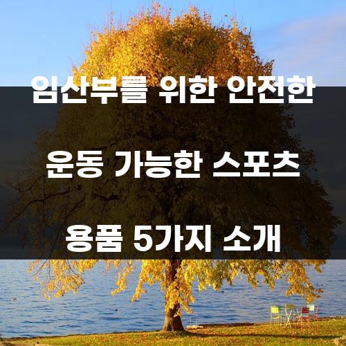 임산부를 위한 안전한 운동 가능한 스포츠 용품 5가지 소개