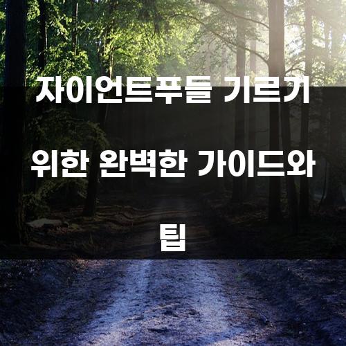 자이언트푸들 기르기 위한 완벽한 가이드와 팁