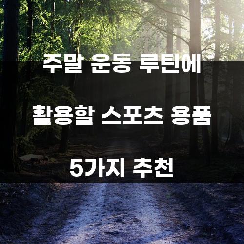 주말 운동 루틴에 활용할 스포츠 용품 5가지 추천