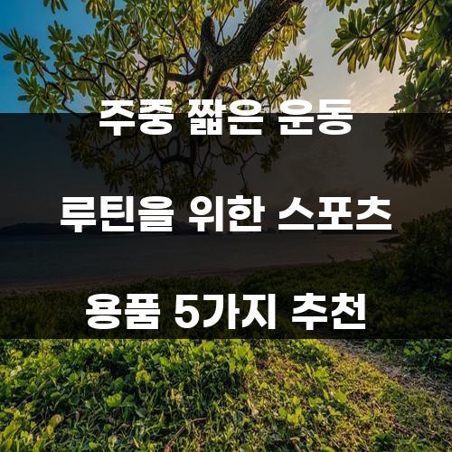 주중 짧은 운동 루틴을 위한 스포츠 용품 5가지 추천