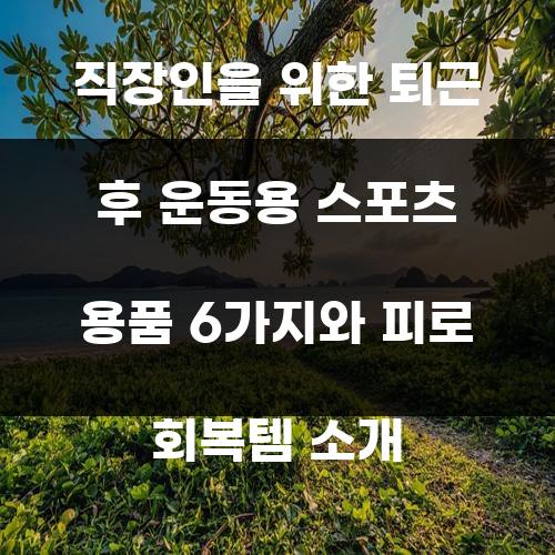 직장인을 위한 퇴근 후 운동용 스포츠 용품 6가지와 피로 회복템 소개