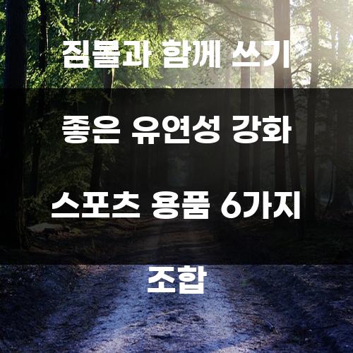 짐볼과 함께 쓰기 좋은 유연성 강화 스포츠 용품 6가지 조합