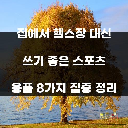 집에서 헬스장 대신 쓰기 좋은 스포츠 용품 8가지 집중 정리