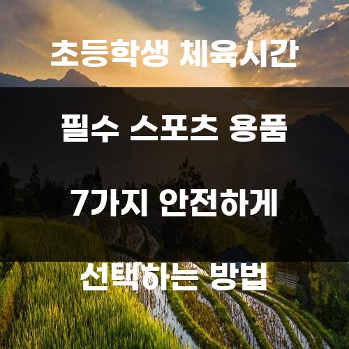 초등학생 체육시간 필수 스포츠 용품 7가지 안전하게 선택하는 방법