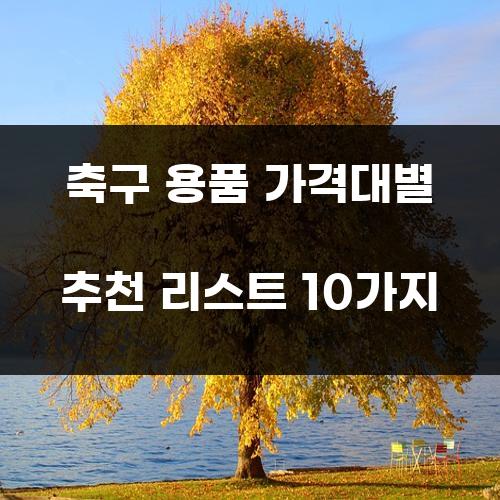 축구 용품 가격대별 추천 리스트 10가지