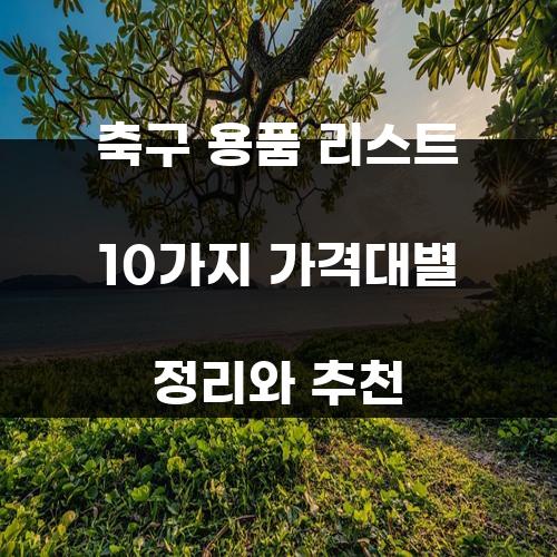 축구 용품 리스트 10가지 가격대별 정리와 추천