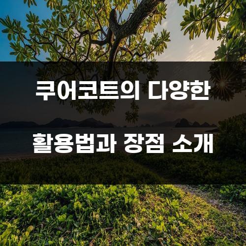 쿠어코트의 다양한 활용법과 장점 소개
