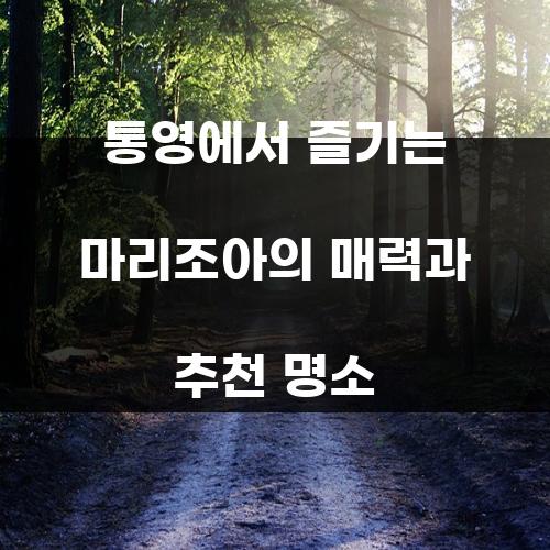 통영에서 즐기는 마리조아의 매력과 추천 명소