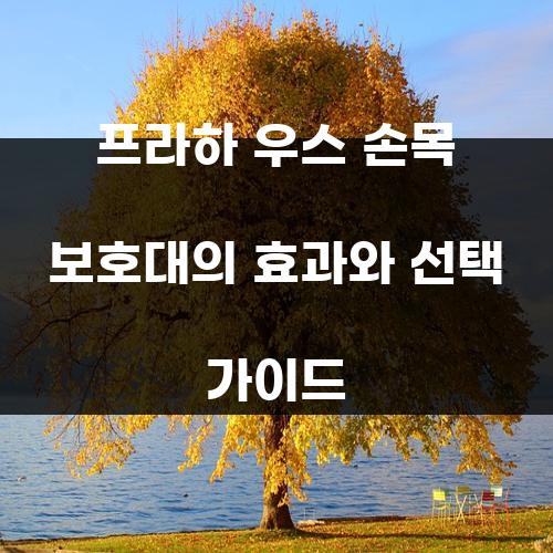 프라하 우스 손목 보호대의 효과와 선택 가이드