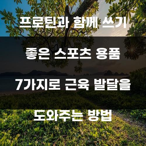 프로틴과 함께 쓰기 좋은 스포츠 용품 7가지로 근육 발달을 도와주는 방법