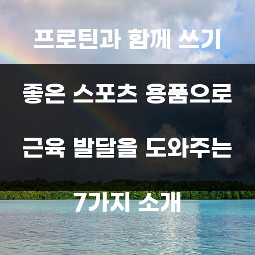 프로틴과 함께 쓰기 좋은 스포츠 용품으로 근육 발달을 도와주는 7가지 소개