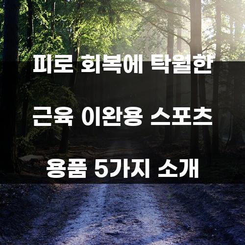 피로 회복에 탁월한 근육 이완용 스포츠 용품 5가지 소개
