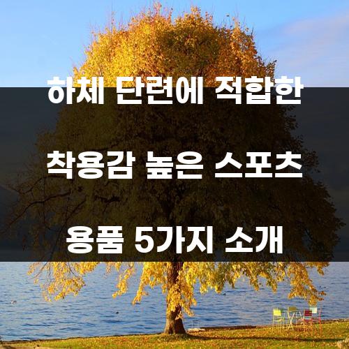 하체 단련에 적합한 착용감 높은 스포츠 용품 5가지 소개