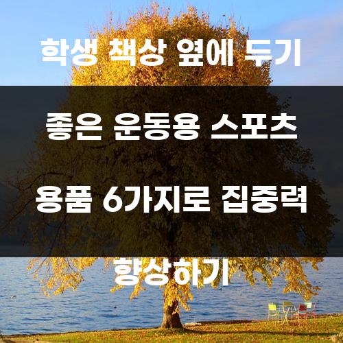 학생 책상 옆에 두기 좋은 운동용 스포츠 용품 6가지로 집중력 향상하기