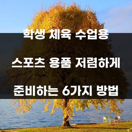 학생 체육 수업용 스포츠 용품 저렴하게 준비하는 6가지 방법