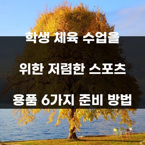 학생 체육 수업을 위한 저렴한 스포츠 용품 6가지 준비 방법