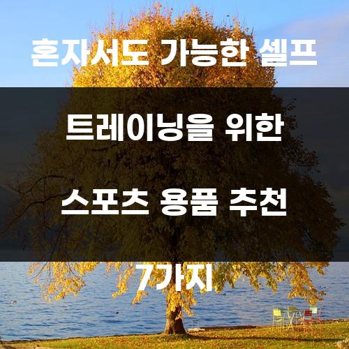 혼자서도 가능한 셀프 트레이닝을 위한 스포츠 용품 추천 7가지
