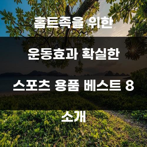 홈트족을 위한 운동효과 확실한 스포츠 용품 베스트 8 소개