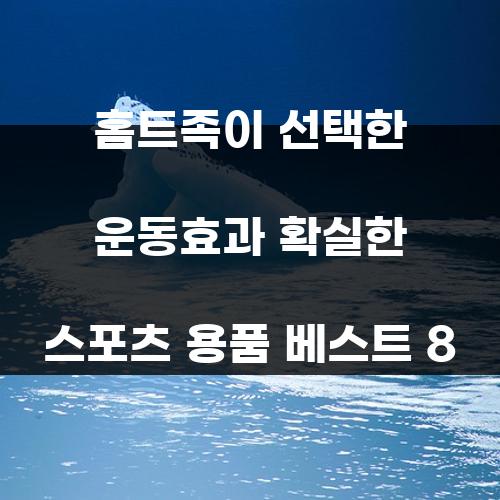 홈트족이 선택한 운동효과 확실한 스포츠 용품 베스트 8