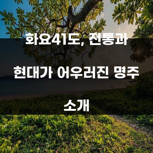 화요41도,  전통과 현대가 어우러진 명주 소개