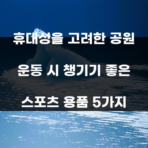 휴대성을 고려한 공원 운동 시 챙기기 좋은 스포츠 용품 5가지