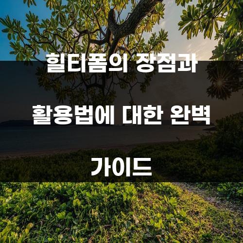 힐티폼의 장점과 활용법에 대한 완벽 가이드