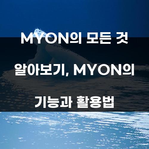 MYON의 모든 것 알아보기,  MYON의 기능과 활용법