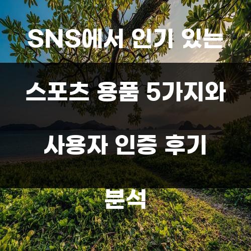 SNS에서 인기 있는 스포츠 용품 5가지와 사용자 인증 후기 분석