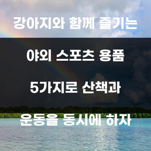 강아지와 함께 즐기는 야외 스포츠 용품 5가지로 산책과 운동을 동시에 하자