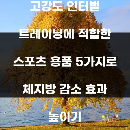 고강도 인터벌 트레이닝에 적합한 스포츠 용품 5가지로 체지방 감소 효과 높이기