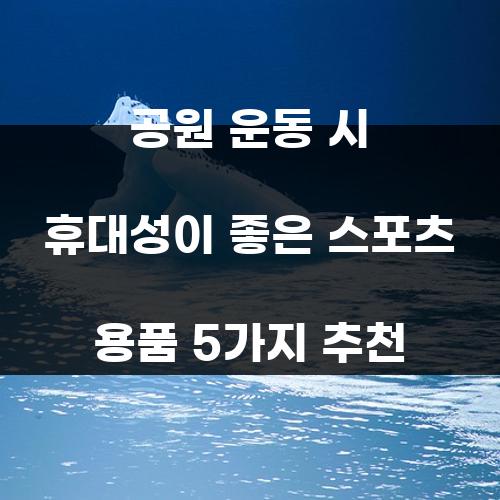 공원 운동 시 휴대성이 좋은 스포츠 용품 5가지 추천