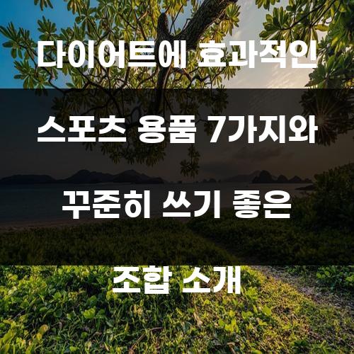 다이어트에 효과적인 스포츠 용품 7가지와 꾸준히 쓰기 좋은 조합 소개