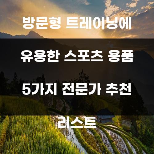 방문형 트레이닝에 유용한 스포츠 용품 5가지 전문가 추천 리스트