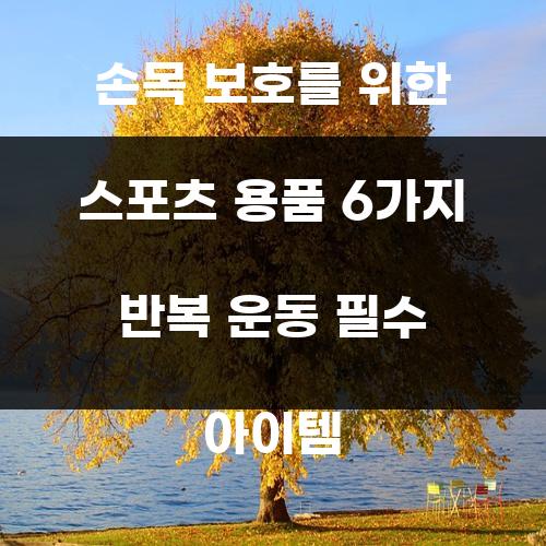 손목 보호를 위한 스포츠 용품 6가지 반복 운동 필수 아이템