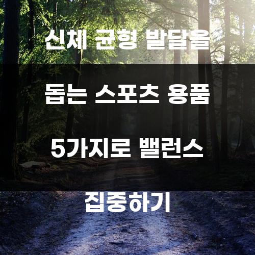 신체 균형 발달을 돕는 스포츠 용품 5가지로 밸런스 집중하기