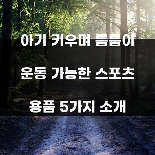 아기 키우며 틈틈이 운동 가능한 스포츠 용품 5가지 소개