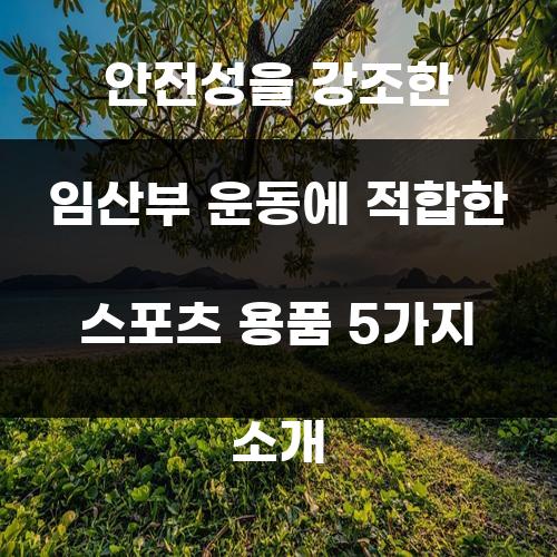 안전성을 강조한 임산부 운동에 적합한 스포츠 용품 5가지 소개