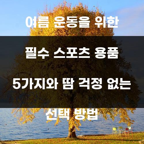 여름 운동을 위한 필수 스포츠 용품 5가지와 땀 걱정 없는 선택 방법