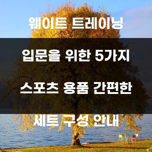 웨이트 트레이닝 입문을 위한 5가지 스포츠 용품 간편한 세트 구성 안내