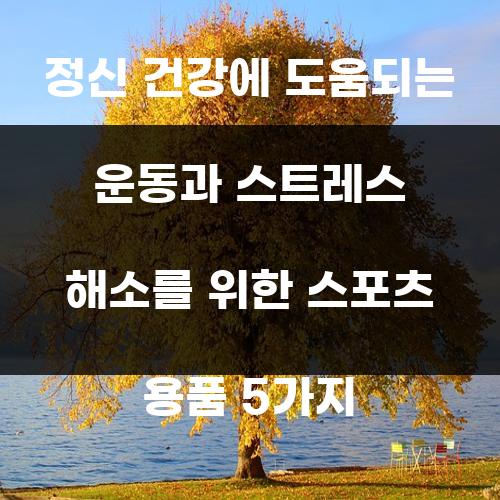 정신 건강에 도움되는 운동과 스트레스 해소를 위한 스포츠 용품 5가지