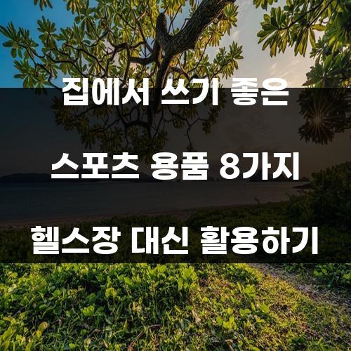 집에서 쓰기 좋은 스포츠 용품 8가지 헬스장 대신 활용하기