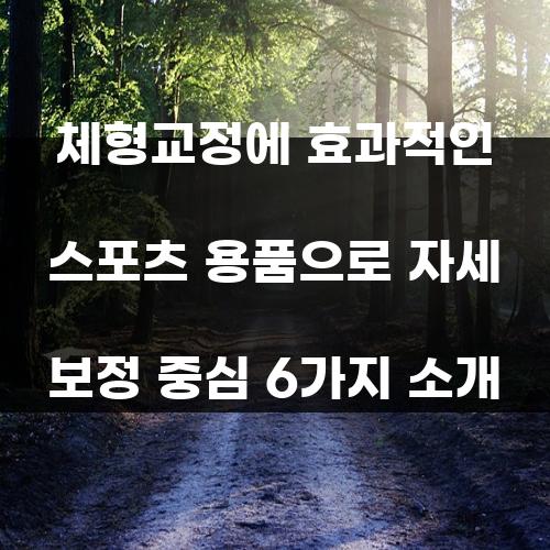 체형교정에 효과적인 스포츠 용품으로 자세 보정 중심 6가지 소개