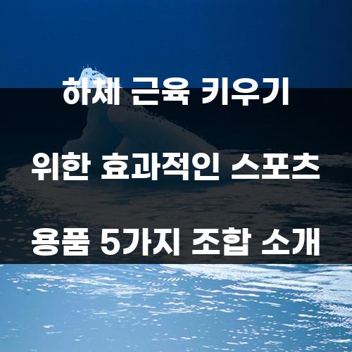하체 근육 키우기 위한 효과적인 스포츠 용품 5가지 조합 소개