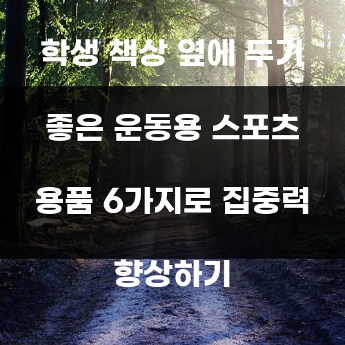 학생 책상 옆에 두기 좋은 운동용 스포츠 용품 6가지로 집중력 향상하기