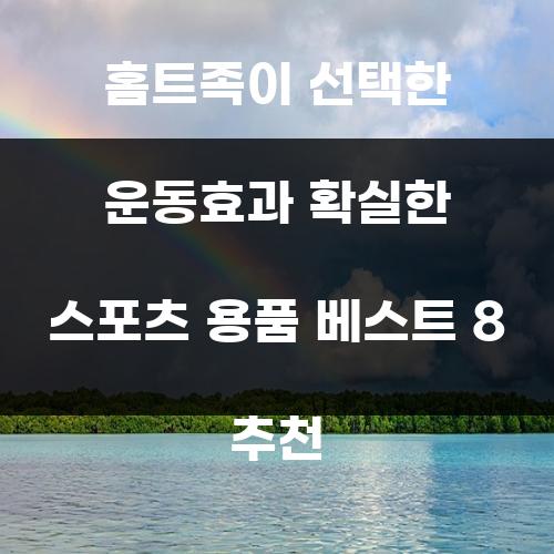 홈트족이 선택한 운동효과 확실한 스포츠 용품 베스트 8 추천